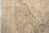 Antique Sarouk Area Rug (4' x 6')